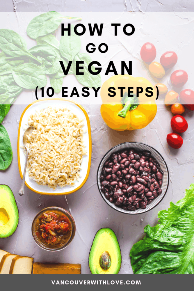Are you wondering how to go vegan? It can be daunting, so this guide provides tips and advice on going vegan for beginners. Whether you want to follow a completely plant-based diet or just reduce meat consumption, this guide has all the info you need, broken into manageable steps. #howtogovegan #govegan #gamechangers #veganforbeginners #veganlifestyle