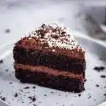 Vegan Gluten Free Chocolate Cake - Image of a slice of vegan chocolate cake with shredded coconut on a white plate. In the background is another slice of cake and a silver fork.
