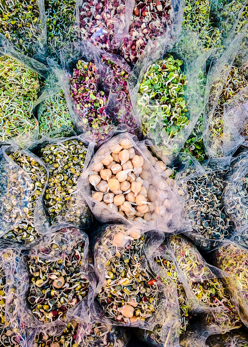 Overhead image of mixed sprouts, including alfalfa, clover, broccoli and mustard.