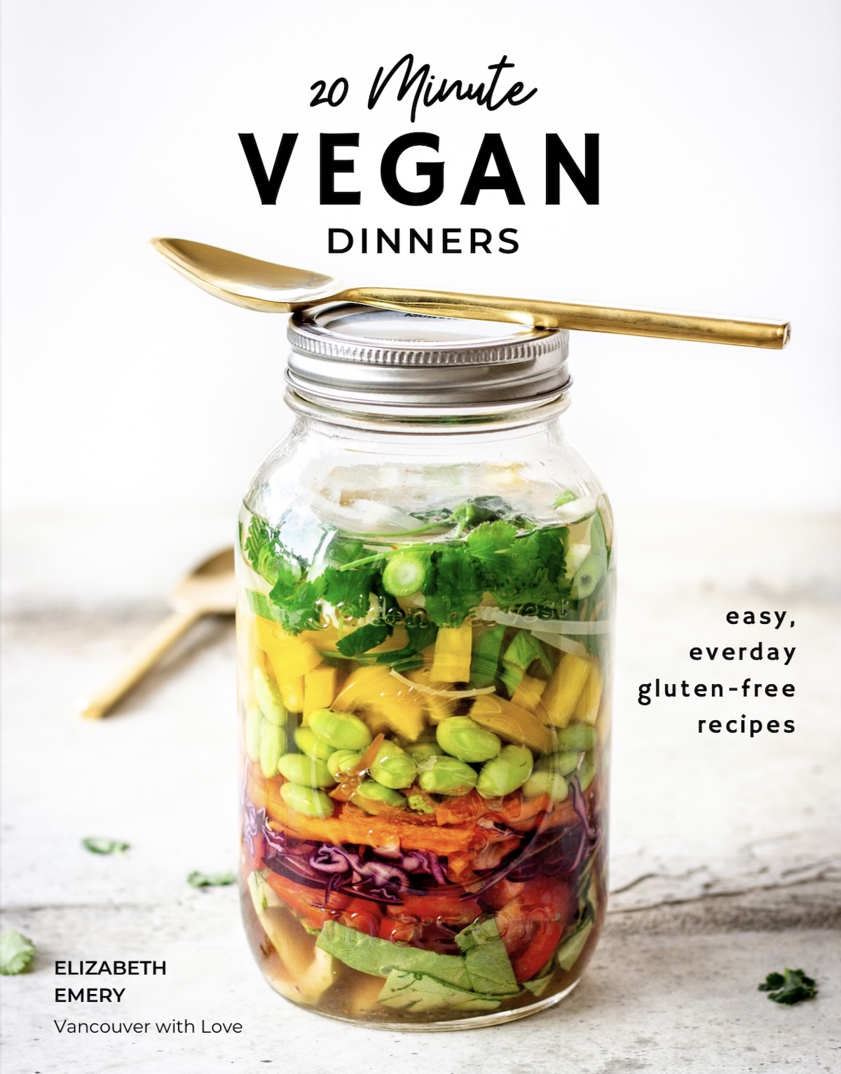Quick Vegan Meals in 20 minutes ebook cover
