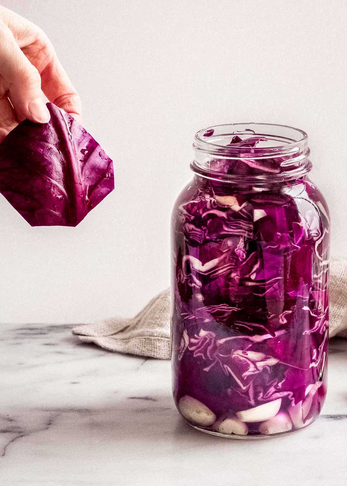 Jar of cabbage with cabbage leaf