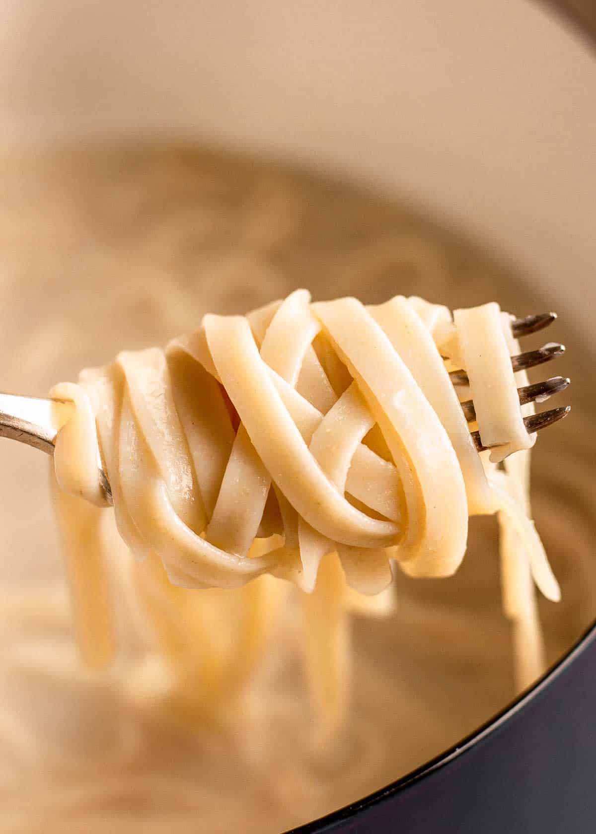 Cooked fettuccini wrapped around a fork.