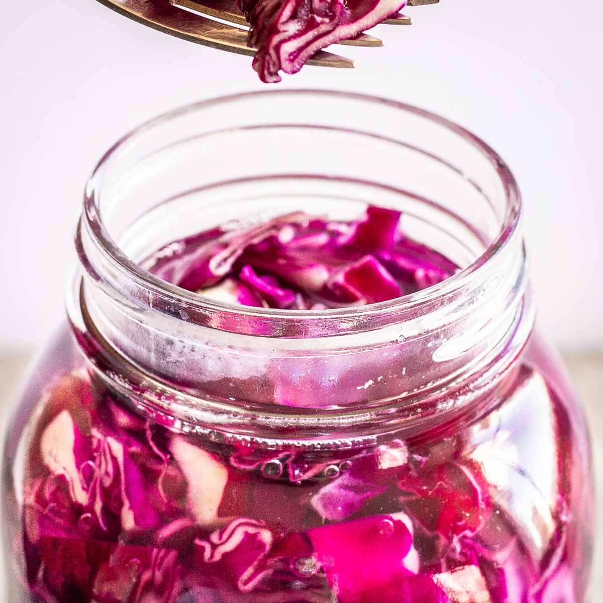 Glass jar filled with bright pink red cabbage sauerkraut. A forkful is being lifted out of the jar.